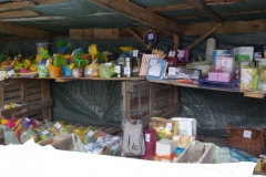 piknik_009