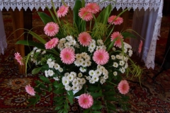piknik_048