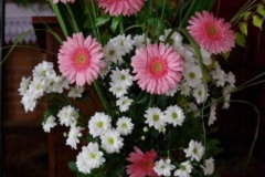piknik_049