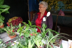 piknik_080