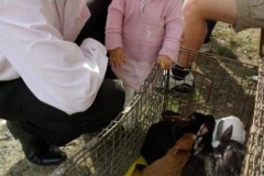 piknik_097