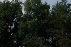 piknik_106