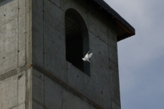 piknik_107