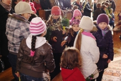 n_palmowa_2012_029
