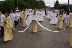 procesja_2012_017