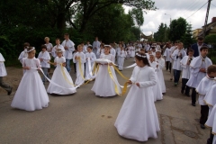 procesja_2012_022