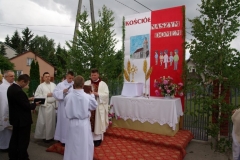 procesja_2012_026