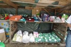 piknik_2012_005