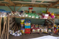 piknik_2012_008