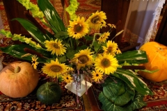 dozynki_2012_052