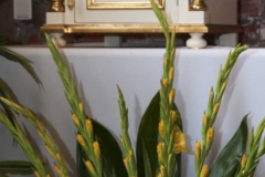 imgp0592