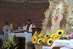 imgp0661